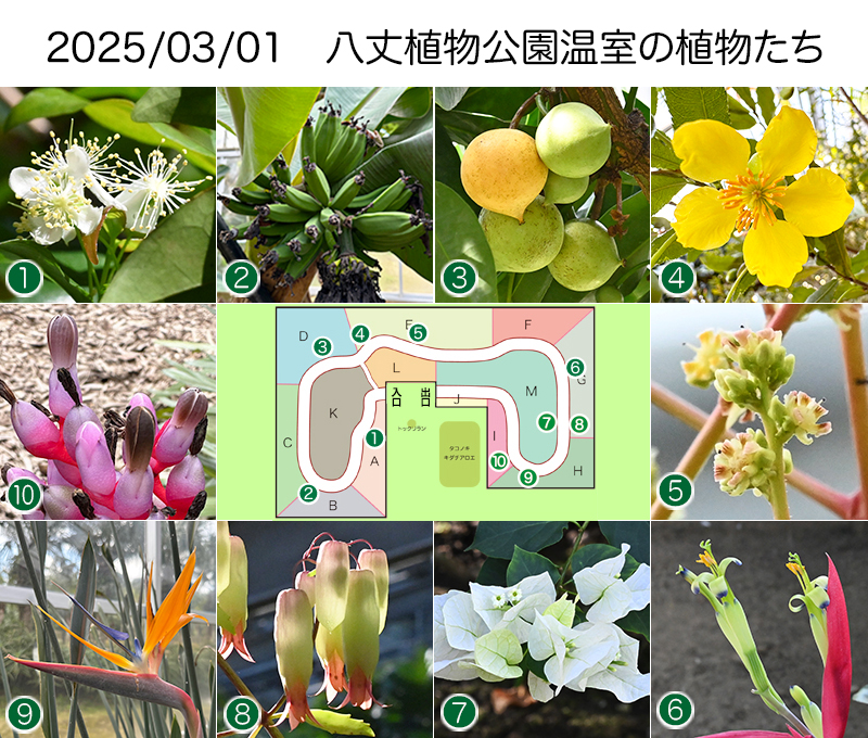 Twitter＆HP用2025_0301