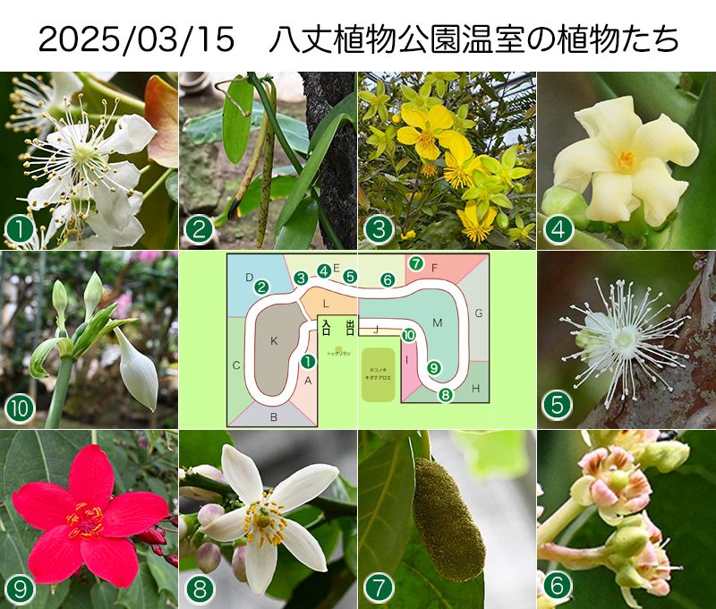 Twitter＆HP用2025_0315