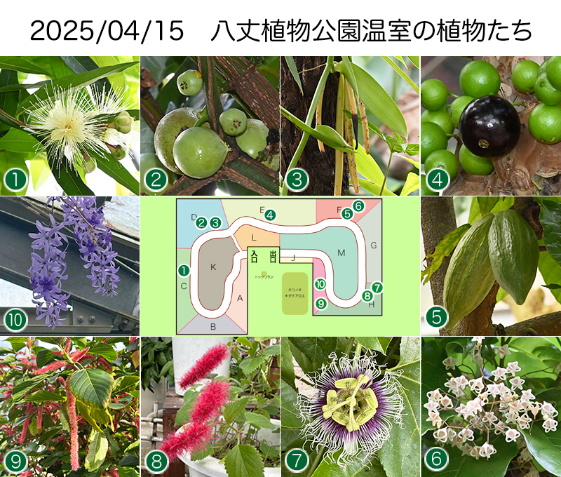 Twitter＆HP用2025_0415