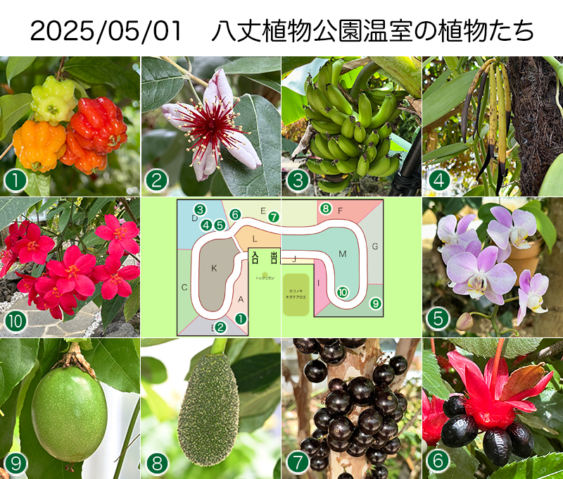 Twitter＆HP用2025_05-01