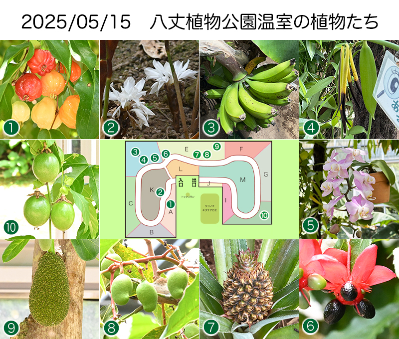 Twitter＆HP用2025_05-15