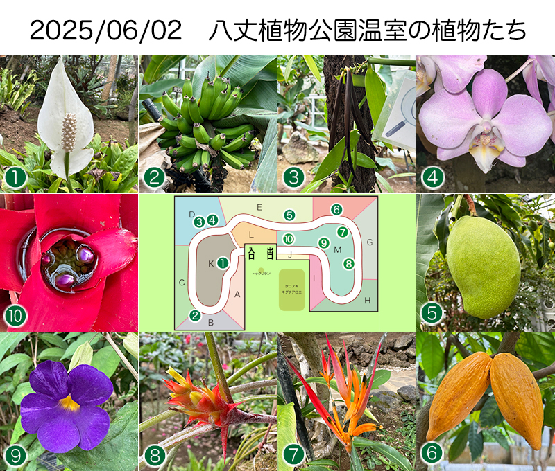 Twitter＆HP用2025_06-02