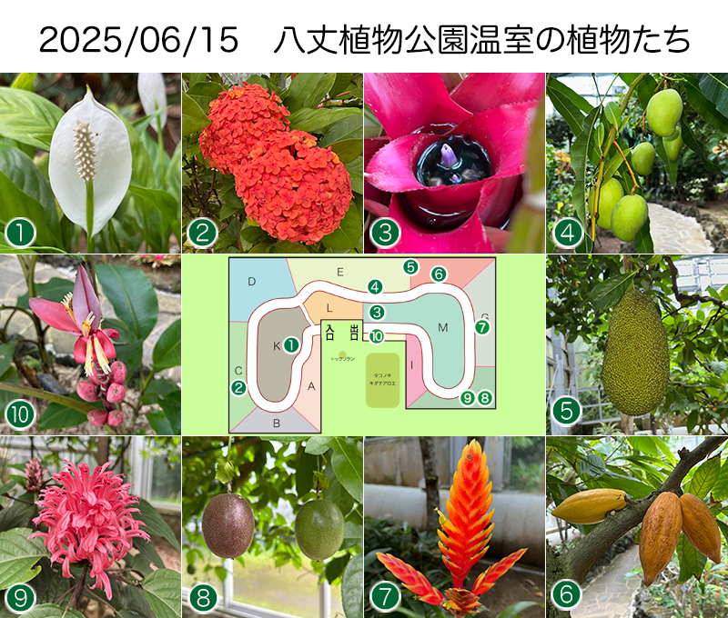 Twitter＆HP用250615
