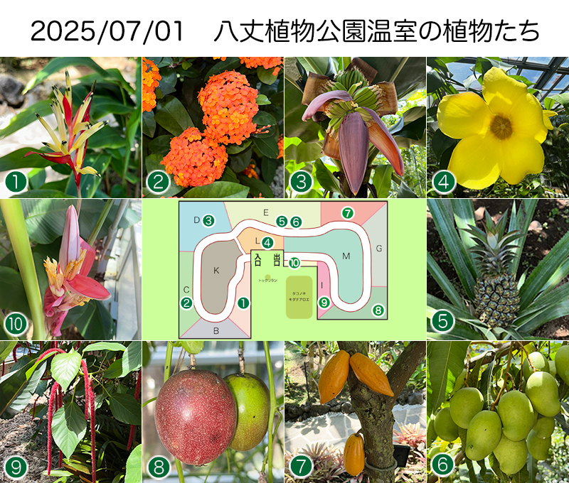 Twitter＆HP用250701