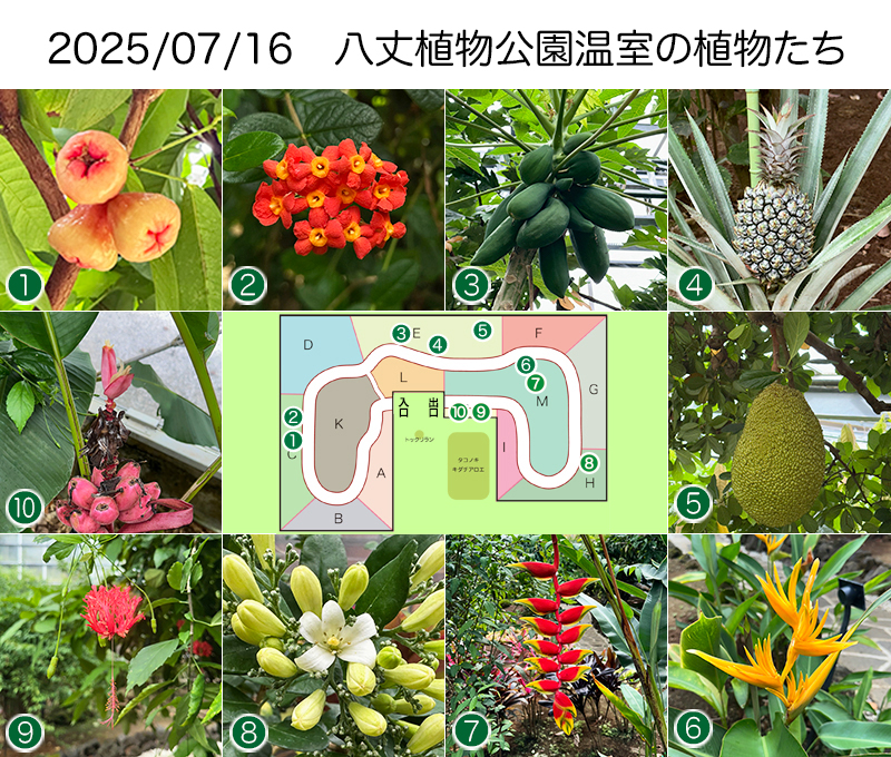 Twitter＆HP用250716