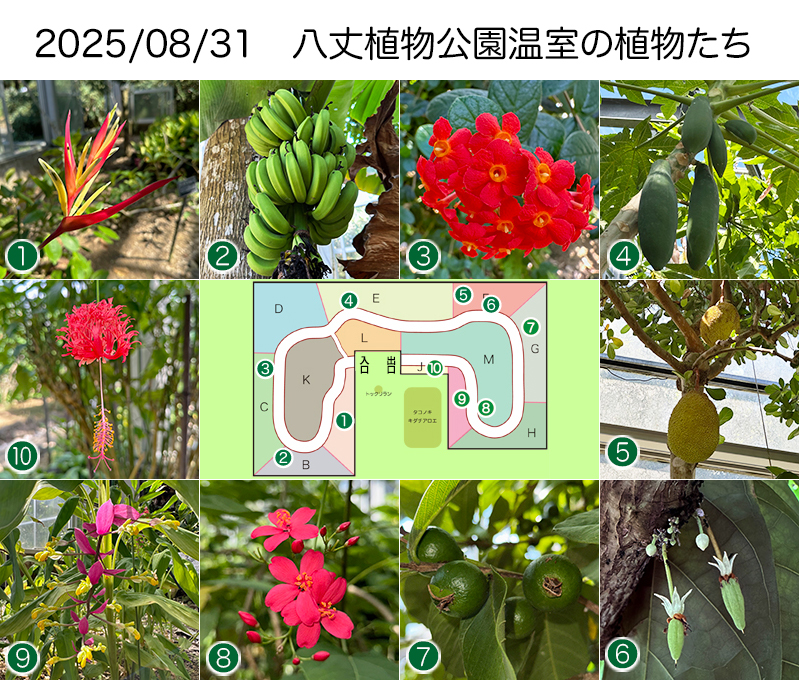 Twitter＆HP用250831