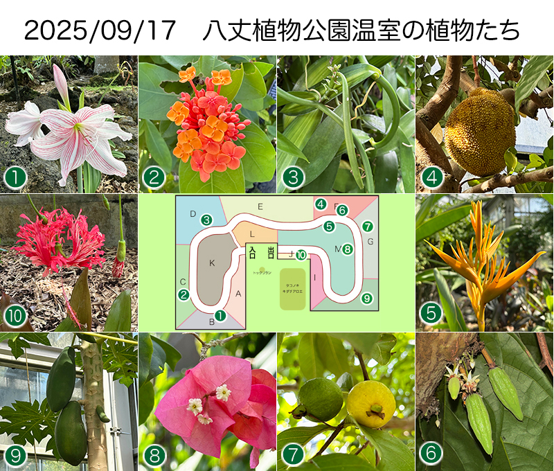 Twitter＆HP用250917