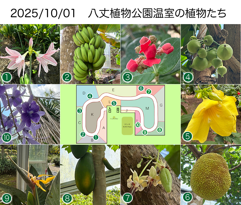 Twitter＆HP用251001