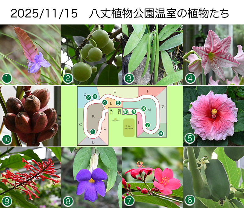 Twitter＆HP用251115