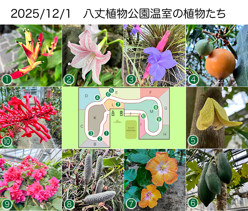 Twitter＆HP用251201
