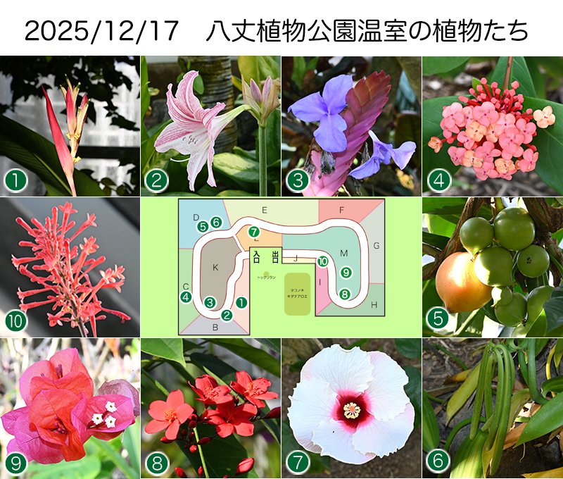 Twitter＆HP用251217