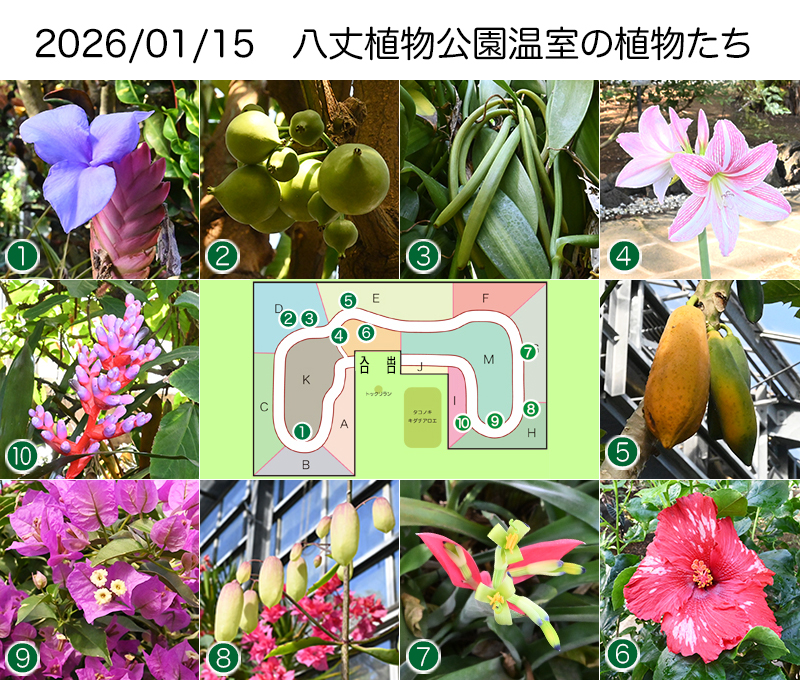 Twitter＆HP用260115