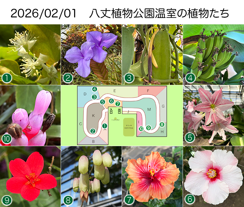 Twitter＆HP用260201