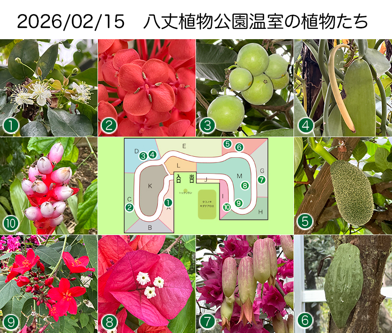Twitter＆HP用260215