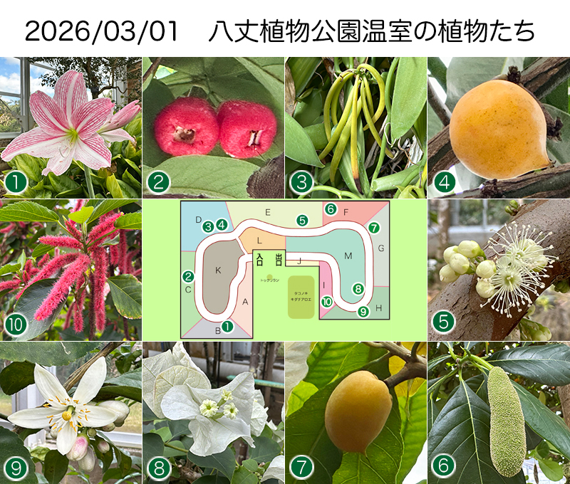 Twitter＆HP用260301