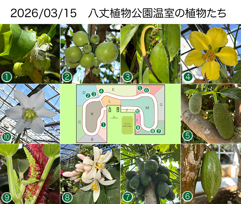 Twitter＆HP用260315