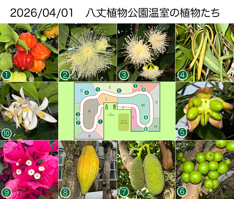 Twitter＆HP用260401