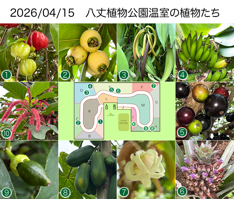 Twitter＆HP用260415
