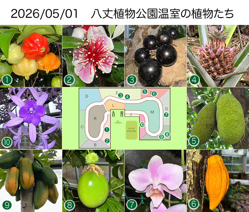 Twitter＆HP用260501