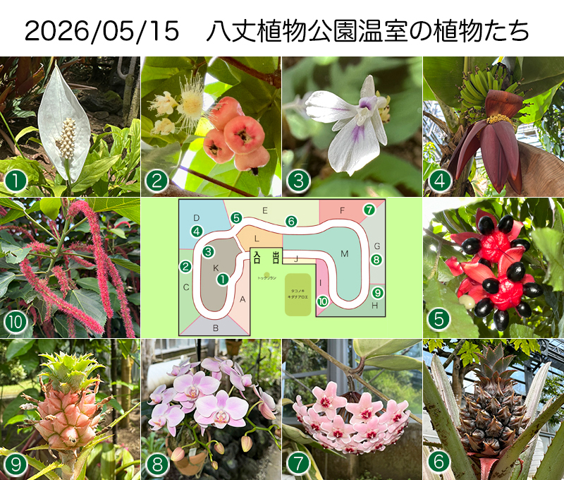 Twitter＆HP用260515