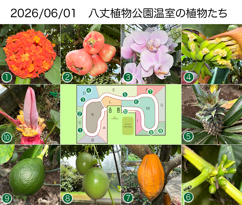 Twitter＆HP用260601