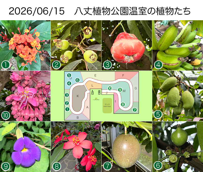 Twitter＆HP用260615