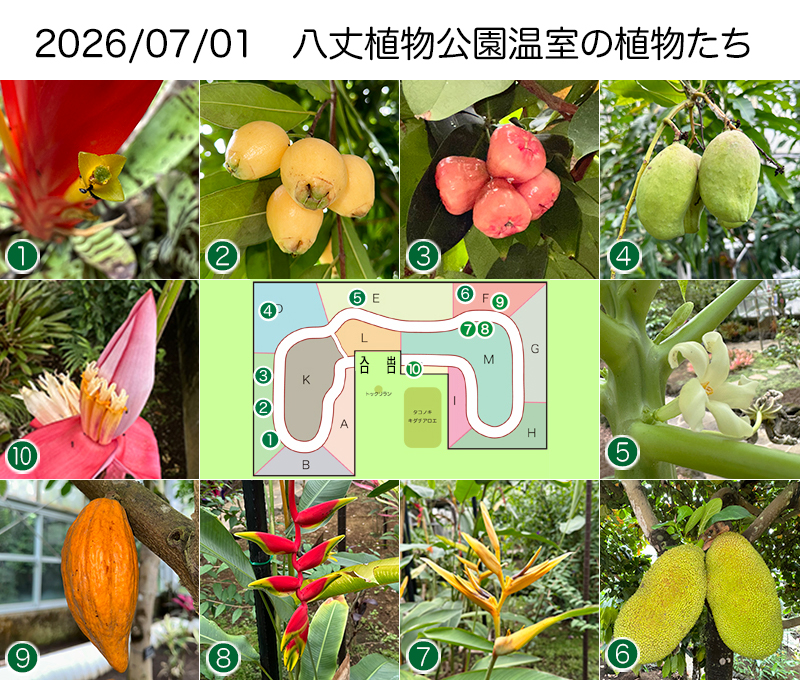 Twitter＆HP用260701
