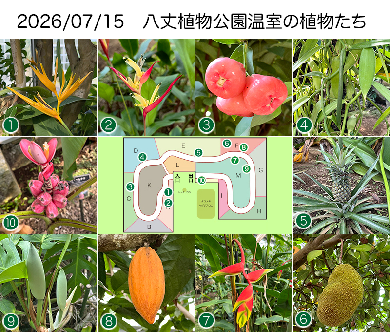 Twitter＆HP用260715