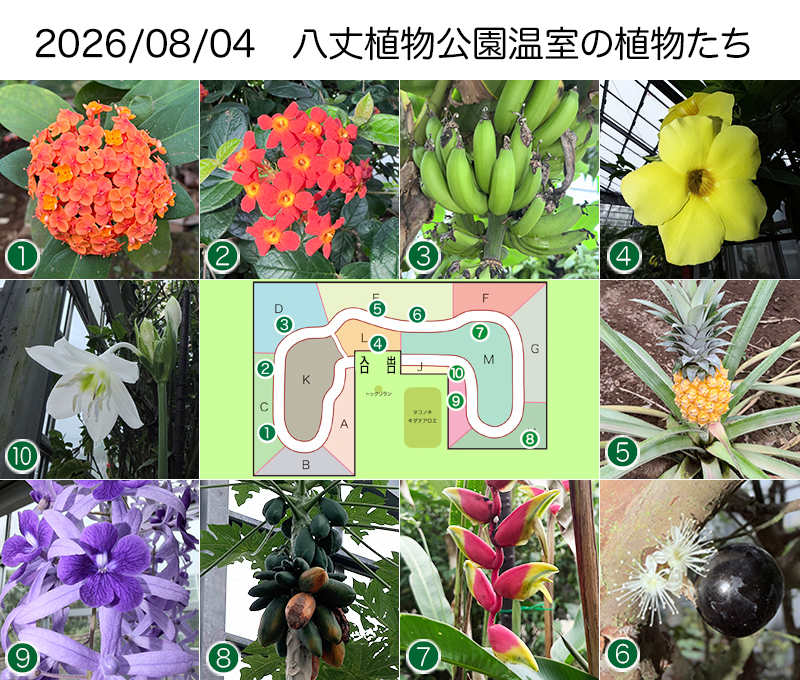 Twitter＆HP用260804