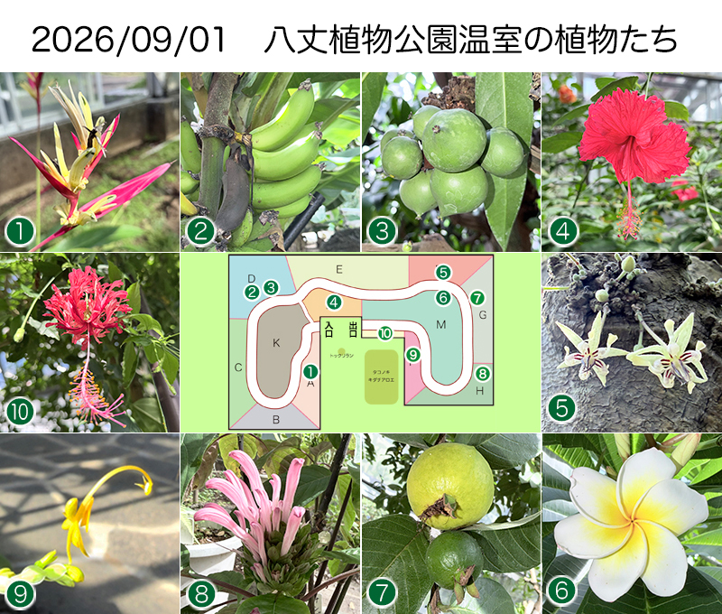 Twitter＆HP用260901