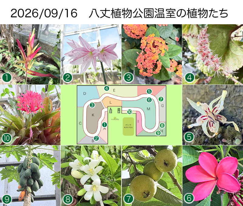 Twitter＆HP用260916