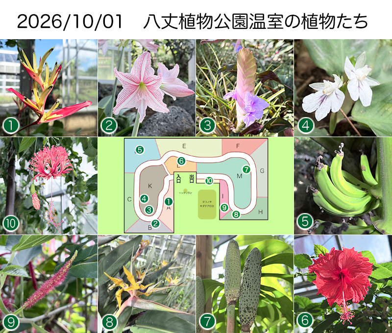 Twitter＆HP用261001