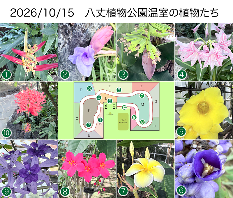 Twitter＆HP用261015