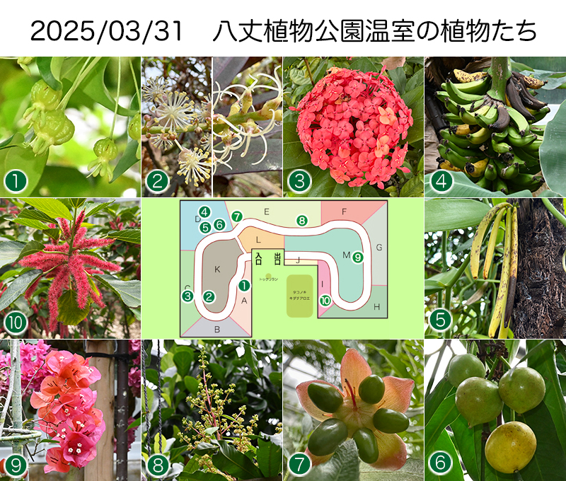 Twitter＆HP用_20250331
