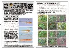 kokkome2402_1-thumb-240xauto-111106