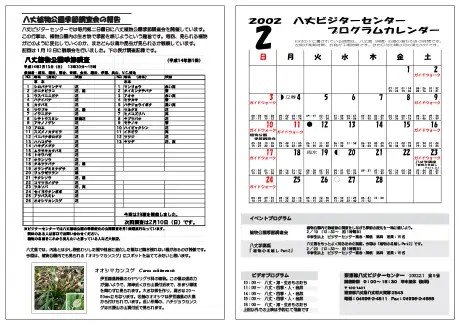 kokkome0202_2
