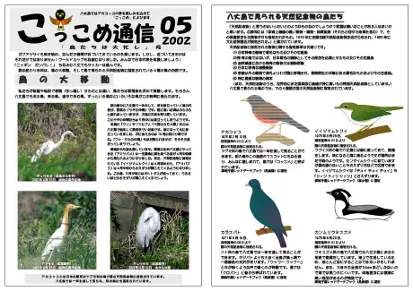 kokkome0205_1