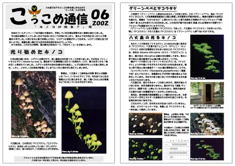 kokkome0206_1