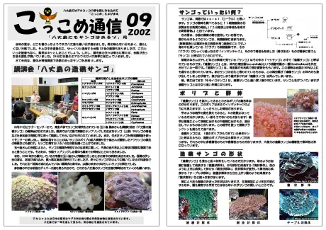 kokkome0209_1