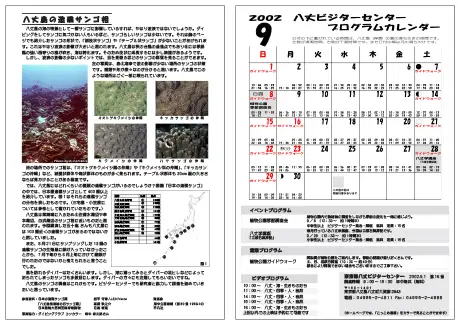 kokkome0209_2