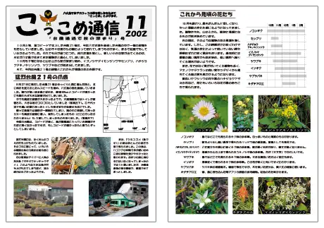 kokkome0211_1