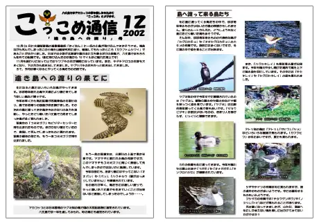 kokkome0212_1