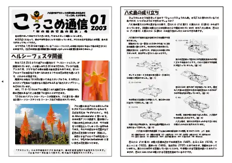 kokkome0301_1