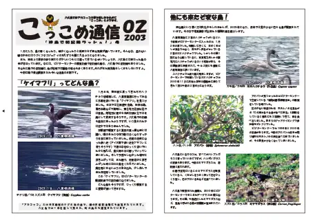 kokkome0302_1