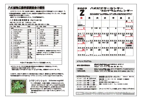 kokkome0302_2