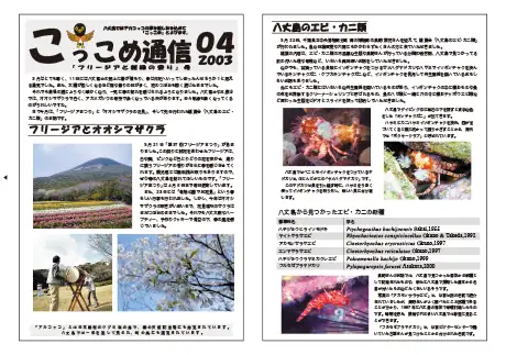 kokkome0304_1