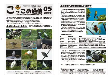 kokkome0305_1
