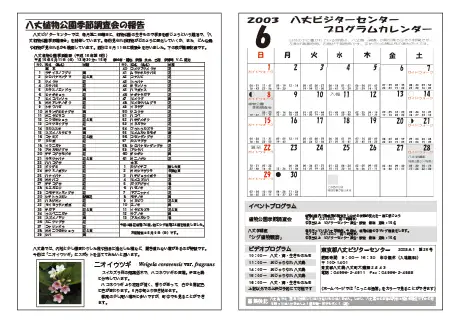 kokkome0306_2
