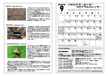 kokkome0309_2