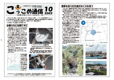 kokkome0310_1
